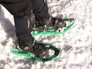 Modern plastic snowshoes